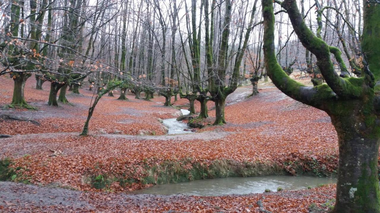 Errekaondo Διαμέρισμα Areatza Εξωτερικό φωτογραφία